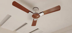 Havells ENTICER 56" Ceiling Fan ( Vineer ) H-290