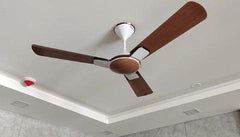 Havells ENTICER 56" Ceiling Fan ( Vineer ) H-290