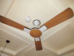 Havells ENTICER 48" Ceiling Fan ( Vineer ) H-284