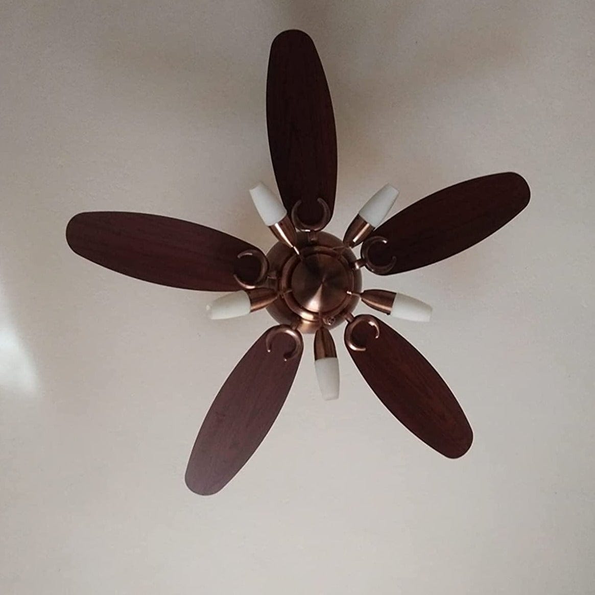 Polycab Superia SP02 48"  Designer Underlight Ceiling Fan (Antique Copper Rosewood)  PC-101Polycab Superia SP02 48"  Designer Underlight Ceiling Fan (Antique Copper Rosewood)  PC-101