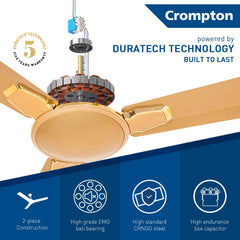 Crompton Aura 2 Prime 48" (Birken Gold ) C-210