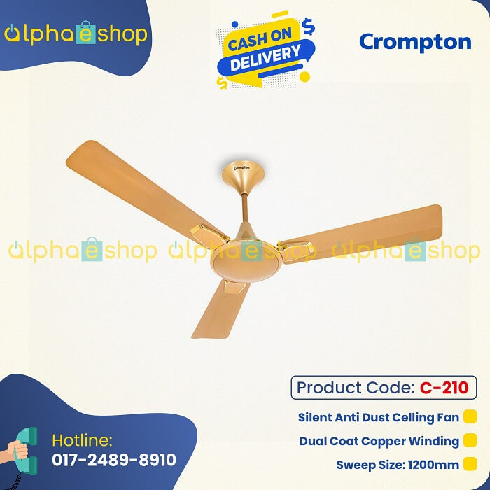 Crompton Aura 2 Prime 48" (Birken Gold ) C-210