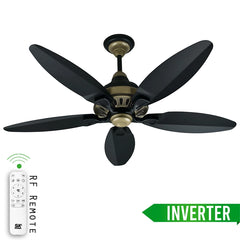 SK Grace 56" Inverter with Remote Ceiling fan Black Gold SK-205