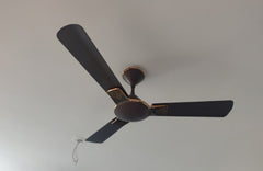 Havells ENTICER ART 56'' (Espresso Brown) H-270