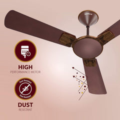 Havells ENTICER ART 56'' (Espresso Brown) H-270