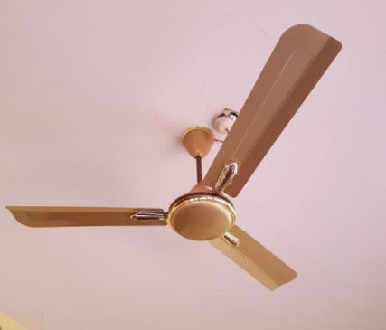 Orient Quasar Ornamental 56" (Golden Chocolate) O-108 - Ceiling Fan - Best Ceiling Fan Price in Bangladesh  | Alphaeshop.store