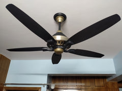 SK Grace 56" Inverter with Remote Ceiling fan Black Gold SK-205